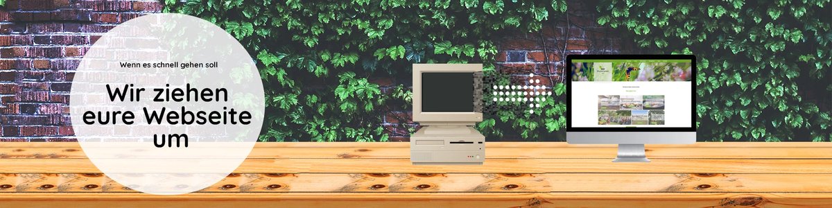 Webseiten Umzugsservice